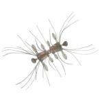 ダイワ スティーズ クアッドフォーゼ 51mm 3匹入 #テナガグリーンフレーク【メール便OK】【FECO認定商品】