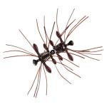 ダイワ スティーズ クアッドフォーゼ 51mm 3匹入 #スカッパノン【メール便OK】【FECO認定商品】