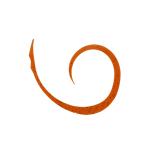  Jackal ведро ведро переключатель T+ галстук Micro Car Lee тонкий 4 шт. входит #F-0298 Cola [ почтовая доставка OK]