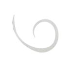  Jackal ведро ведро переключатель T+ галстук Micro Car Lee тонкий 4 шт. входит #F-0300 Kei пятно прозрачный [ почтовая доставка OK]