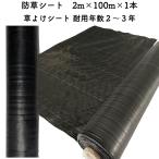 防草シート 2m×100m 1本 耐久年数2年から3年 草よけシート 抗菌剤 UV剤入り 雑草対策 太陽光発電 庭
