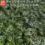  офиопогон японский шар дракон коврик модель 60cm×30cm 10 листов прямая поставка от производителя почвопокровные растения вечнозеленый много год . саженец подлесок земля . растения двор 