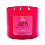  ваш заказ автобус and корпус Works kaktasbro Sam 3 сердцевина свеча 411g Bath &amp; Body Works Cactus Blossom3-Wick
