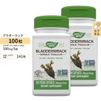 [ купон есть ][2 шт. комплект ] nature z way b лестница подставка (hibamata) 580mg Capsule 100 шарик Nature's Way Bladderwrack дополнение you элемент диета 