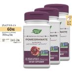 [3個セット] ネイチャーズウェイ ポメグラネイト (ザクロ エキス) 350mg カプセル 60粒 Nature's Way Pomegranate サプリメント 美容 健康食品