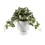  ваш заказ человеческий труд trailing leaf план to керамика pot примерно 23cm Artificial Trailing Leaf Plant in Ceramic P