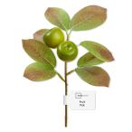  ваш заказ [woru mart бренд ] основной стойка z поддельный Mini фрукты pick зеленый Apple примерно 10×21cm Mainstays Artificial M