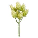  ваш заказ [woru mart бренд ] основной стойка z поддельный ho p pick примерно 6×16cm крем Mainstays Artificial Hops Pick