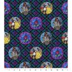  ваш заказ springs sklieitib Disney Beauty and the Beast хлопок ткань примерно 45.7×55.9cm Springs Creative 18inch x 22