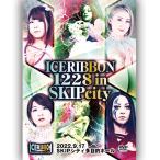  ice ribbon 1228 in SKIP City 2022.9.17 SKIP City multipurpose hole 