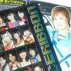  лёд лента официальный проспект 2011 версия (2011/12/25 продажа )