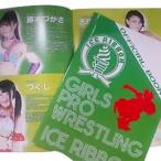 OFFICIAL BOOK -GIRLS PROWRESTLING ICE RIBBON-(2013/7/14 продажа )
