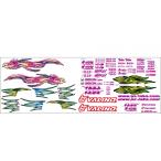 中村直樹　極シルビア　Ｓ15シルビア