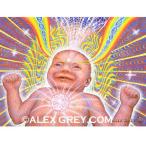 ALEX GREY アレックスグレイ ポスター「Newborn」