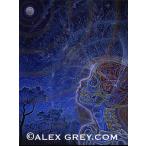 ALEX GREY アレックスグレイ ポスター「WONDER」