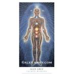 ALEX GREY アレックスグレイ ポスター「PSYCHIC. ENERGY. SYSTEM」