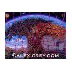 ALEX GREY アレックスグレイ ポスター「GAIA」