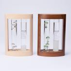 【Fun Science】温度計＆ストー