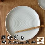大皿 ワンプレート ほぼ30cm 和食器 