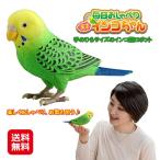 毎日おしゃべり 「天才インコちゃん」  送料無料  ポイント3倍 介護 癒し ロボット インコ  しゃべる 歌う ぬいぐるみ おしゃべり インコ型ロボット …