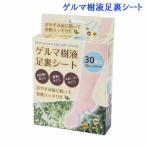 ゲルマ樹液足裏シート  ポイント10�
