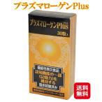プラズマローゲン 知的栄養素 中高