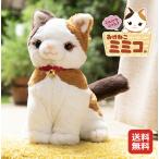 ねこ ぬいぐるみ しゃべる 三毛猫 