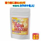 カラオケ カラオケ名人 カラオケ上