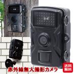 数量限定｜赤外線無人撮影カメラ(SD