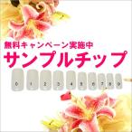 サンプルチップ☆無料キャンペーン☆ウエディング・ブライダル・結婚式・成人式に自分に合ったオーダーサイズネイルチップ☆面倒な採寸もチップを合わせるだけ!