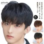 人毛 メンズウィッグ 自然 メンズウ