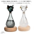  storm стакан кошка стекло погода .. бутылка шт. имеется storm бутылка метеорологические явления .. контейнер кристалл наблюдение контейнер . интерьер стекло украшение произведение искусства . температура погода .