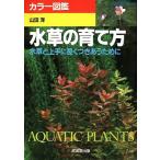  цвет иллюстрированная книга водоросли. .. person - водоросли . хорошо сделанный . длинный есть .. поэтому .-