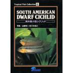 南米産小型シクリッド　＜送料無料＞