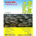  пустой ..me Dakar < бесплатная доставка >