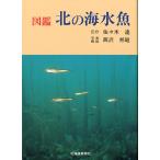  иллюстрированная книга север. морская рыба 