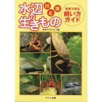  вода сторон сырой кимоно река ..- фотография . смотреть .. person гид -