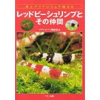 レッドビーシュリンプとその仲間　＜送料無料＞　