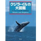  кит * дельфин большой иллюстрированная книга < включая доставку >