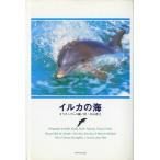  dolphin. sea < free shipping >