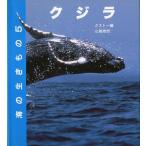  море. сырой кимоно 5 кит 