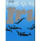 [ дельфин ][ нет .?] - море свинья .. видеть . запись -