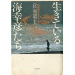  сырой .... море ....- традиция . закон .....-