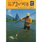  цвет иллюстрация [ айю. .. person ]< бесплатная доставка >