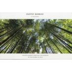 MOSTLY  BAMBOO　（付録：日本語翻訳版付き）