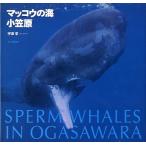 makou. море маленький ..< включая доставку >