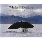 Whales &amp; Dolphins OF KAIKOURA,NEW ZEALAMD