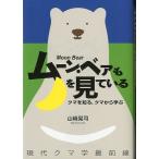  moon * Bear . месяц . смотри ..< включая доставку >
