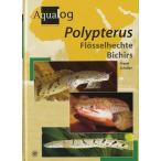 Aqualog  Polypterus  ＜送料無料＞