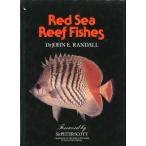 [ английский язык ] Red Sea Reef Fishes < бесплатная доставка >